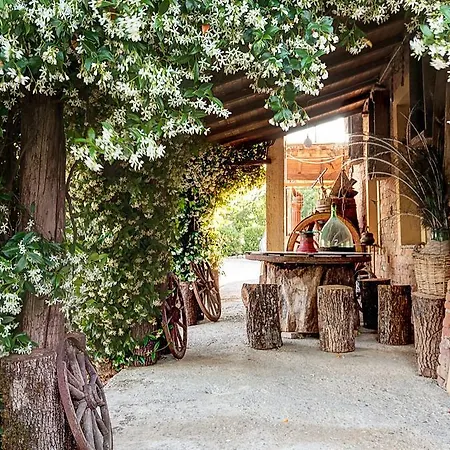 Alcantara E Damasco Appartement Abbadia di Montepulciano